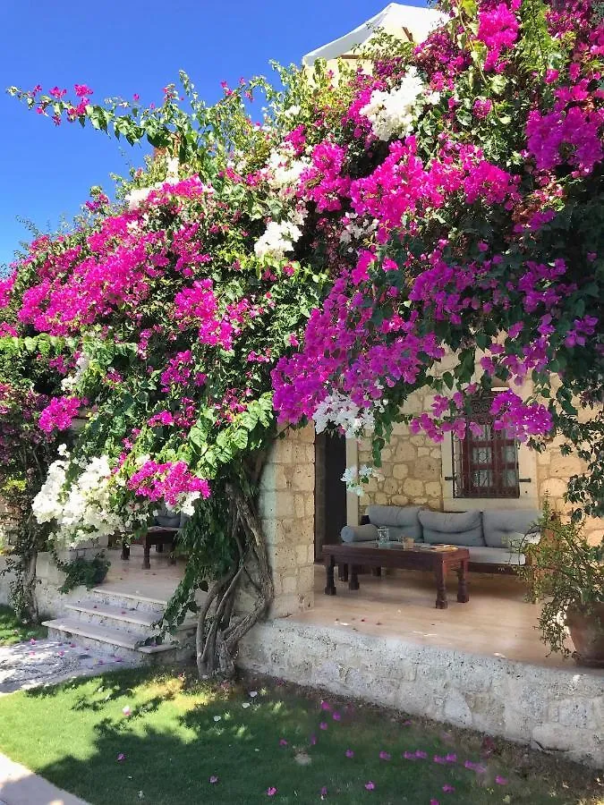 Alacati Zeytin Konak Hotel Turkey