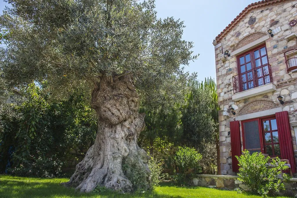 Alacati Zeytin Konak Hotel