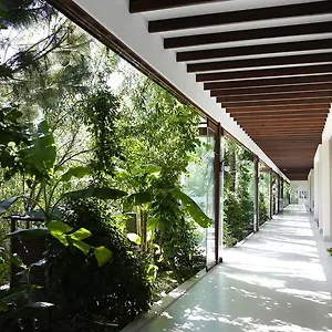 The Lifeco Bodrum Well-being Detox Center&vegan Hotel